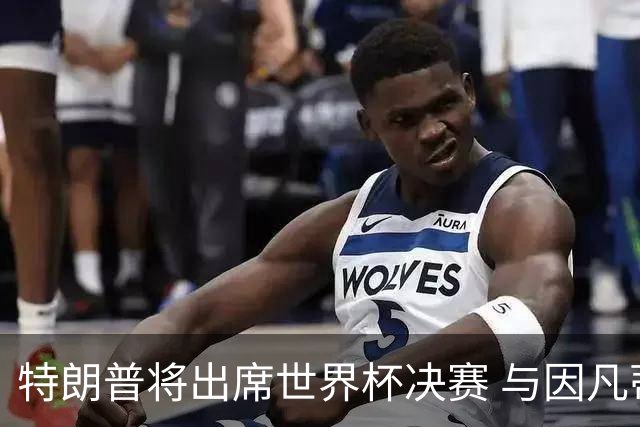 特朗普将出席世界杯决赛 与因凡蒂诺一起颁奖