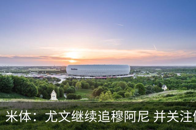 米体：尤文继续追穆阿尼 并关注佩莱格雷诺；大马丁或向维拉施压